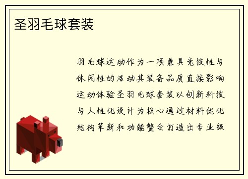 圣羽毛球套装