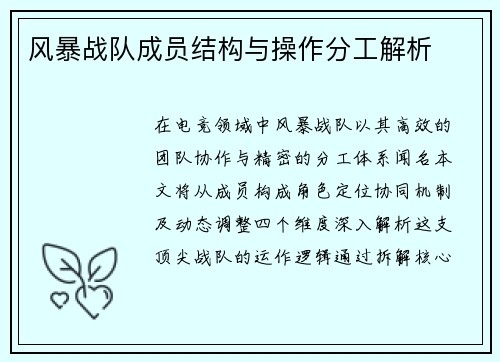 风暴战队成员结构与操作分工解析